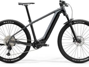 Merida eBIG.NINE 700 EP2 Grey