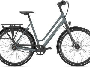 Gazelle Chamonix S8 Low-Step