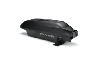 Panasonic SIB 2.0 Akku 630 Wh von Flyer