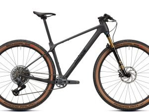 Radon JEALOUS 9.0